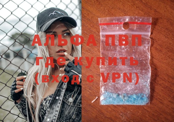 стаф Абаза