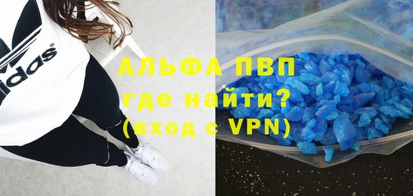 прущие грибы Абдулино